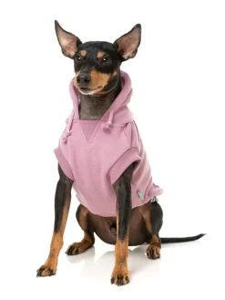 FuzzYard Treats Hoodie - Pink
