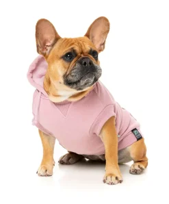 FuzzYard Treats Hoodie - Pink