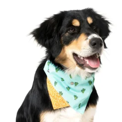 FuzzYard Tucson Pet Bandana