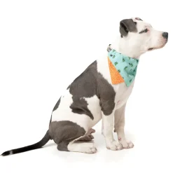 FuzzYard Tucson Pet Bandana