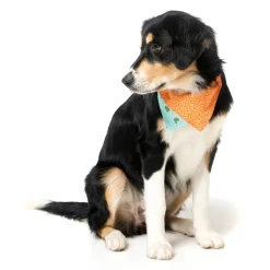 FuzzYard Tucson Pet Bandana