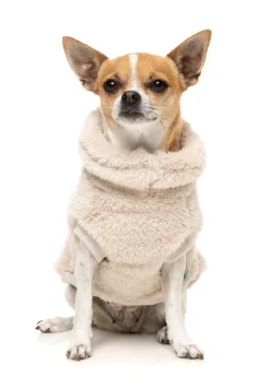 FuzzYard Turtle Teddy 25 Sweater - Beige