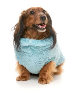 FuzzYard Turtle Teddy 24 Sweater - Blue