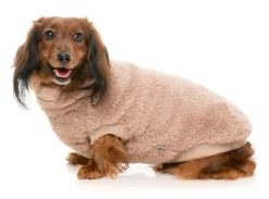 FuzzYard Turtle Teddy 24 Sweater - Chai