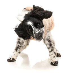 FuzzYard Turtle Teddy 25 Sweater - Desert Tan