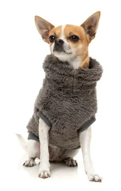 FuzzYard Turtle Teddy 25 Sweater - Gunmetal Grey