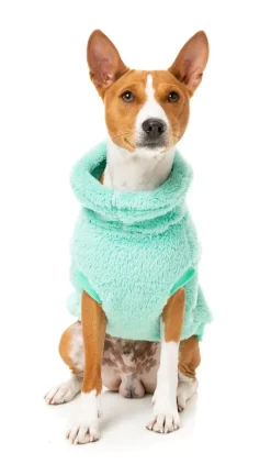 FuzzYard Turtle Teddy 24 Sweater - Teal