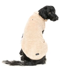 FuzzYard Turtle Teddy Sweater - Beige