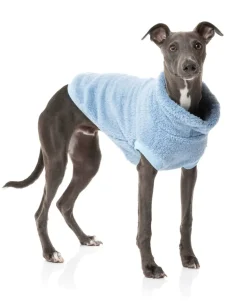 FuzzYard Turtle Teddy Sweater - Washed Blue