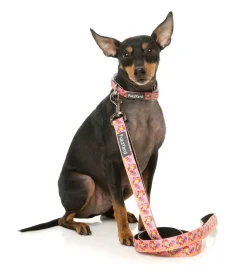 FuzzYard Two-Cans - Dog Lead