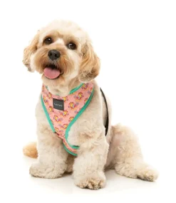 FuzzYard Two-Cans - Harness