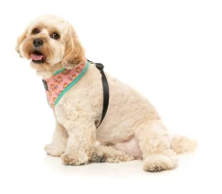 FuzzYard Two-Cans - Harness