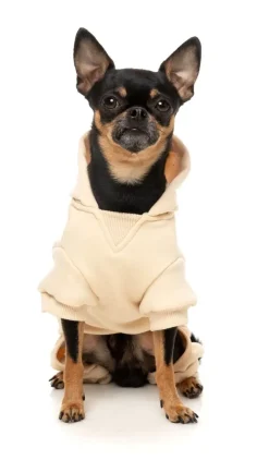 FuzzYard Urban Tracksuit - Buttermilk