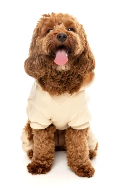 FuzzYard Urban Tracksuit - Buttermilk