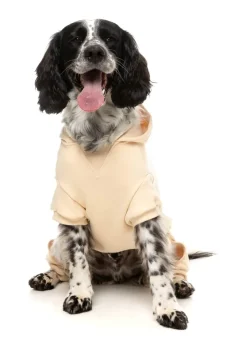 FuzzYard Urban Tracksuit - Buttermilk