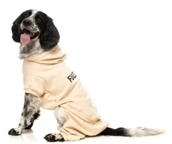 FuzzYard Urban Tracksuit - Buttermilk