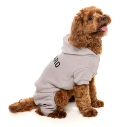 FuzzYard Urban Tracksuit - Cool Grey