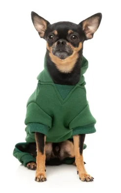 FuzzYard Urban Tracksuit - Green