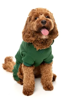 FuzzYard Urban Tracksuit - Green