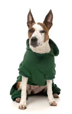 FuzzYard Urban Tracksuit - Green