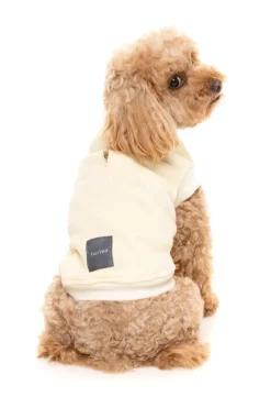 FuzzYard Vanilla Street Sweater