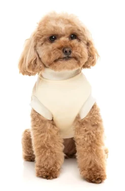 FuzzYard Vanilla Street Sweater