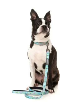 FuzzYard Wakey Wakey - Dog Collar