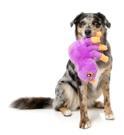 FuzzYard Weborah The Spider - Dog Toy