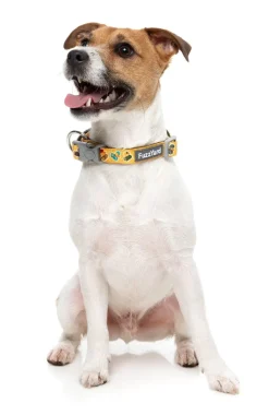 FuzzYard What The Duck - Dog Collar