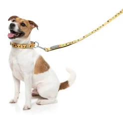 FuzzYard What The Duck - Dog Collar