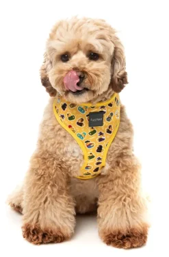 FuzzYard What The Duck - Dog Harness