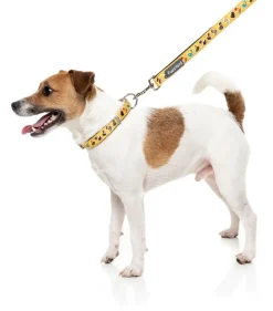 FuzzYard What The Duck - Dog Lead