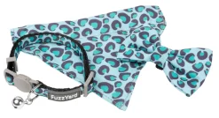 FuzzYard Wild One Aqua - Cat Fashion Pack