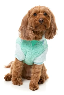 FuzzYard Winnie Hoodie - Teal