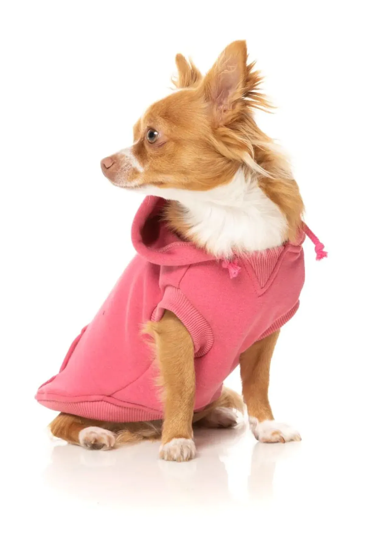 FuzzYard Wooftagram Hoodie - Pink