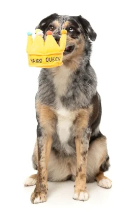 FuzzYard Yass Queen Crown - Dog Toy