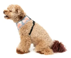 FuzzYard Yazd - Dog Harness