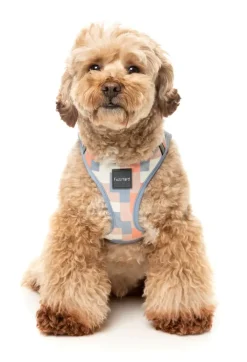 FuzzYard Yazd - Dog Step In Harness