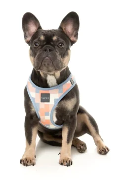 FuzzYard Yazd - Dog Step In Harness