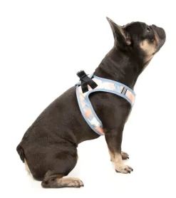 FuzzYard Yazd - Dog Step In Harness