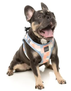 FuzzYard Yazd - Dog Step In Harness