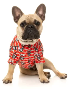 FuzzYard Yo! Santa Button Up Shirt