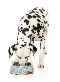 FuzzYard You Drive Me Glazy - Easy Feeder Bowl