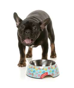 FuzzYard You Drive Me Glazy - Easy Feeder Bowl