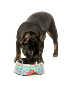 FuzzYard You Drive Me Glazy - Easy Feeder Bowl