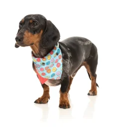 FuzzYard You Drive Me Glazy Bandana