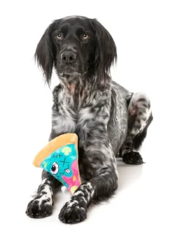 FuzzYard Zombizza - Marg-EAT-Her - Dog Toy