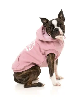FuzzYard Zoomies Hoodie - Pink